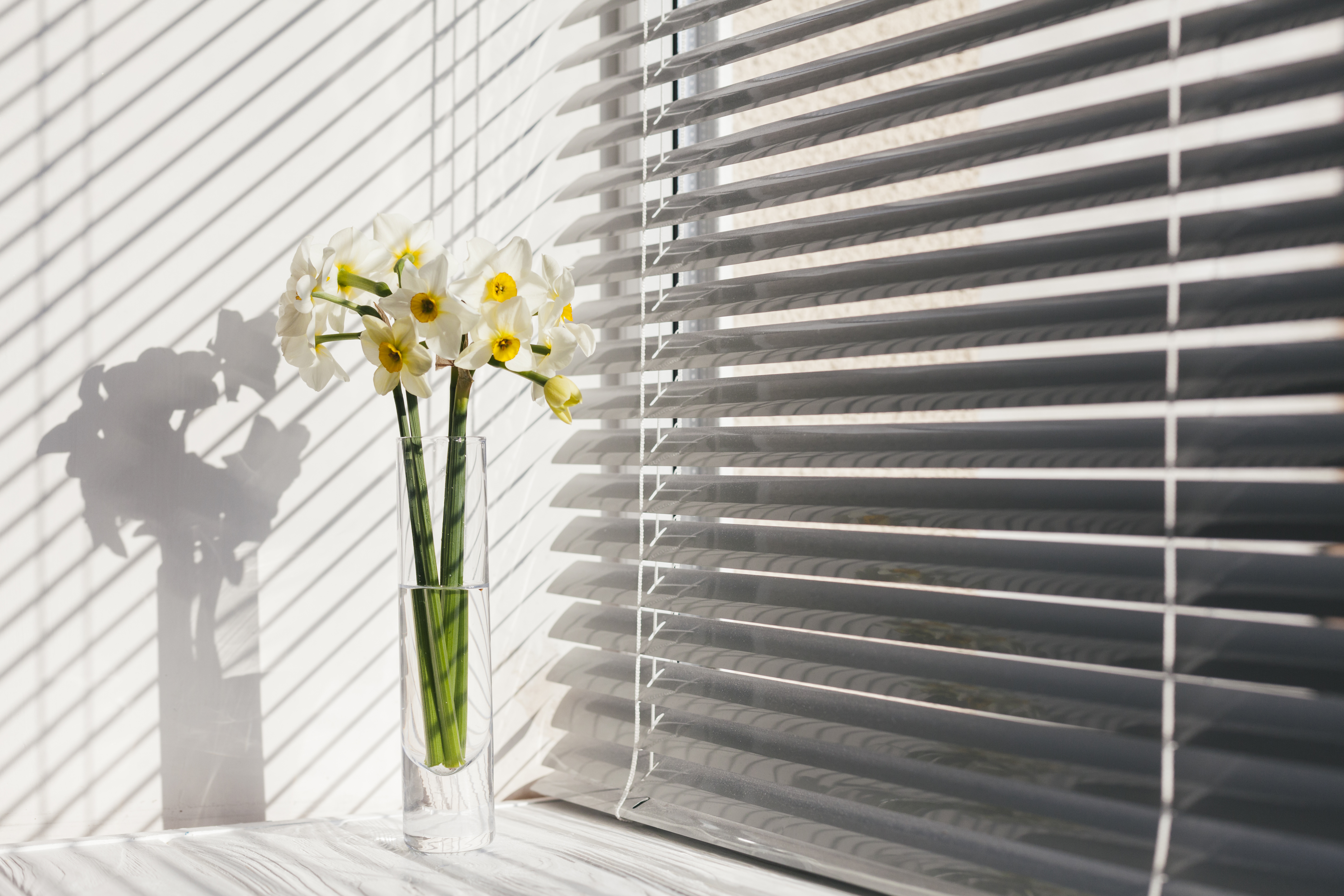 Comprehensive Guide to Roman Blinds