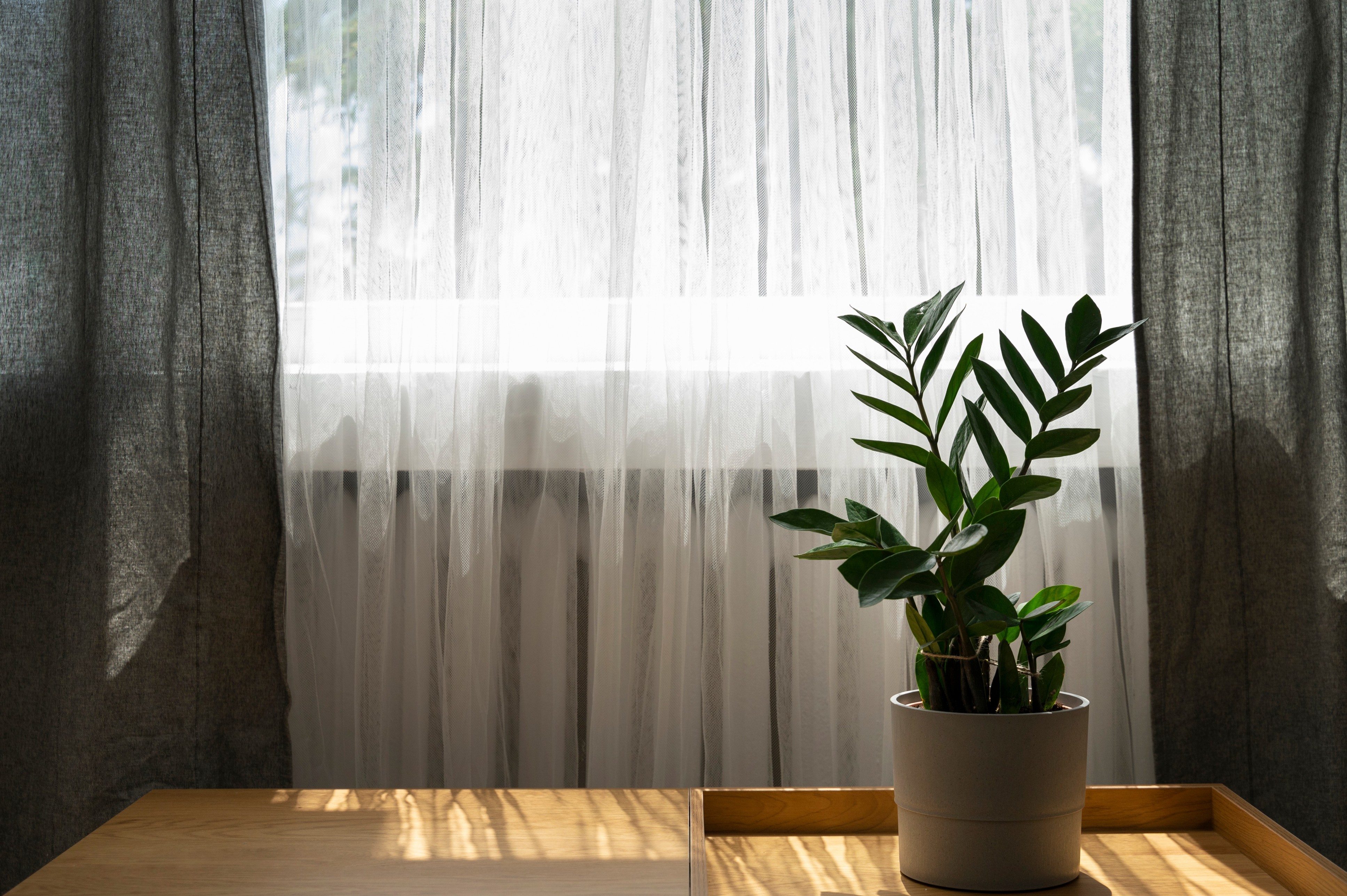 Comprehensive Guide to Roman Blinds