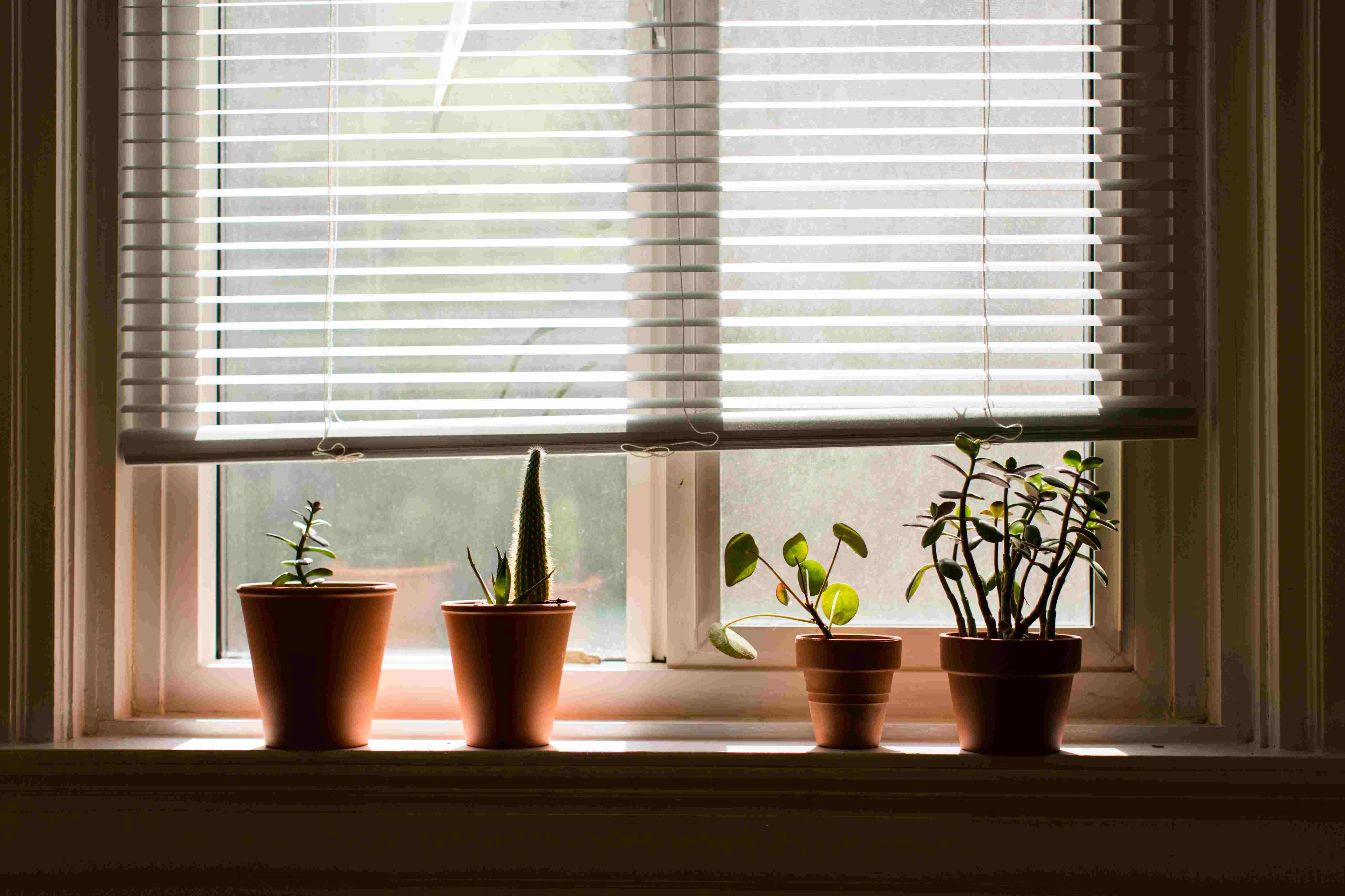 Comprehensive Guide to Roman Blinds