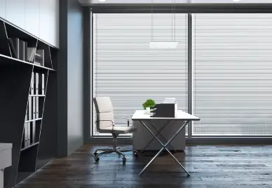Zebra blinds offering light control in Dubai office