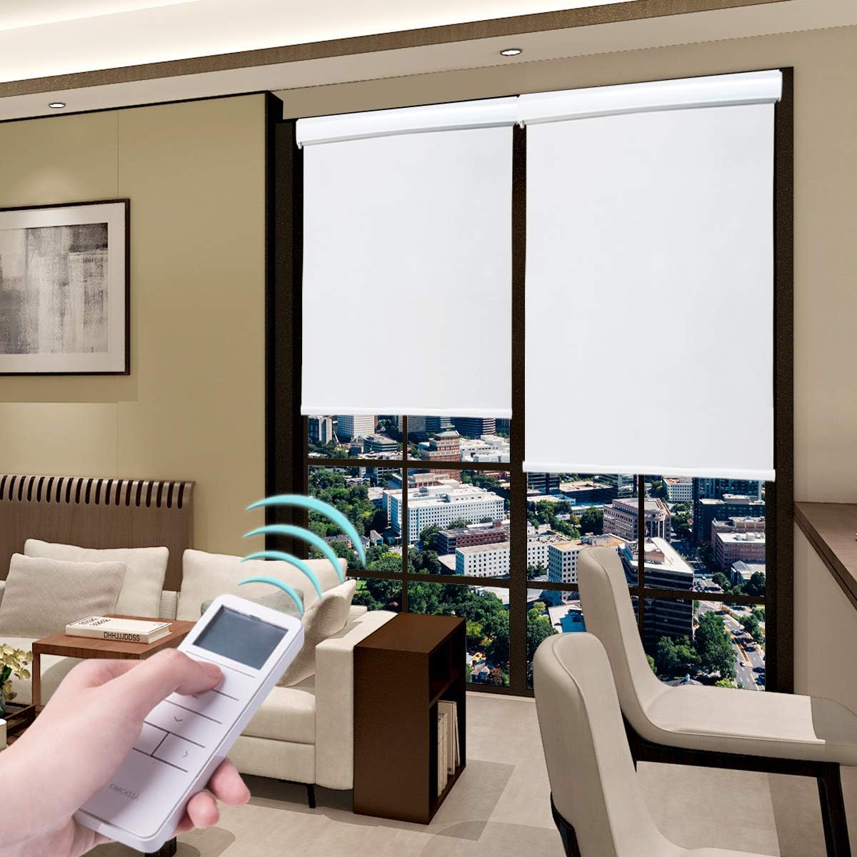 Somfy motorized blinds system